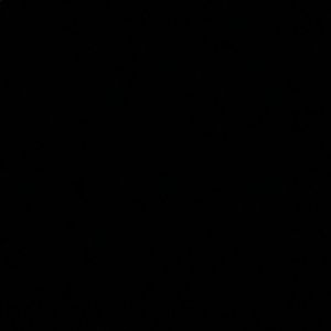 Meet your Posher, Reagan